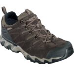 Pantofi Meindl Portland GTX